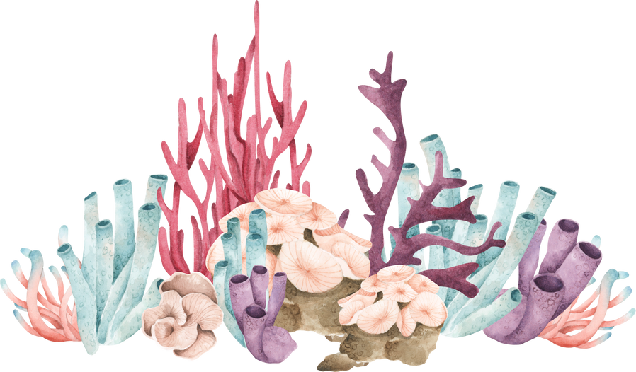 Seaweeds, Coral elements. Watercolor illustration.